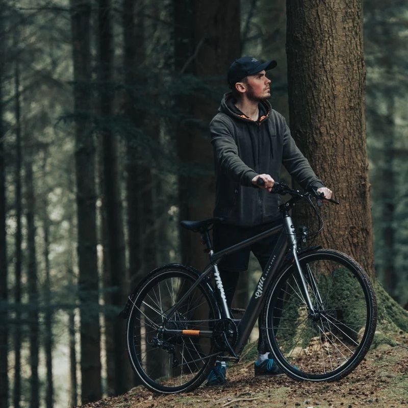 EMU EVO Crossbar Electric Bike 250W