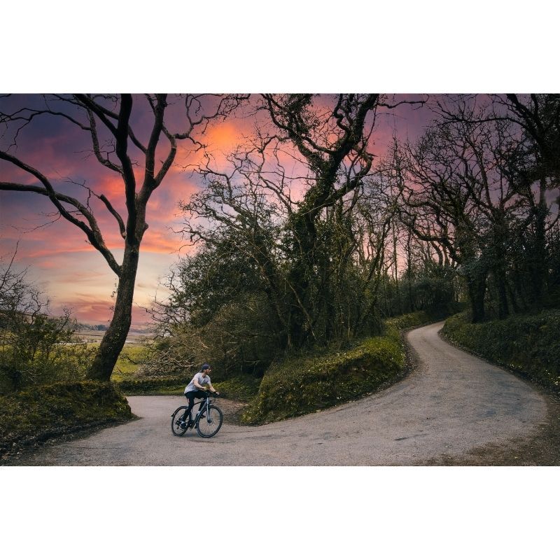 EMU EVO Crossbar Electric Bike 250W
