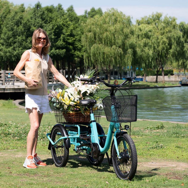Aitour Folding Electric Trike Heal Mini 250W