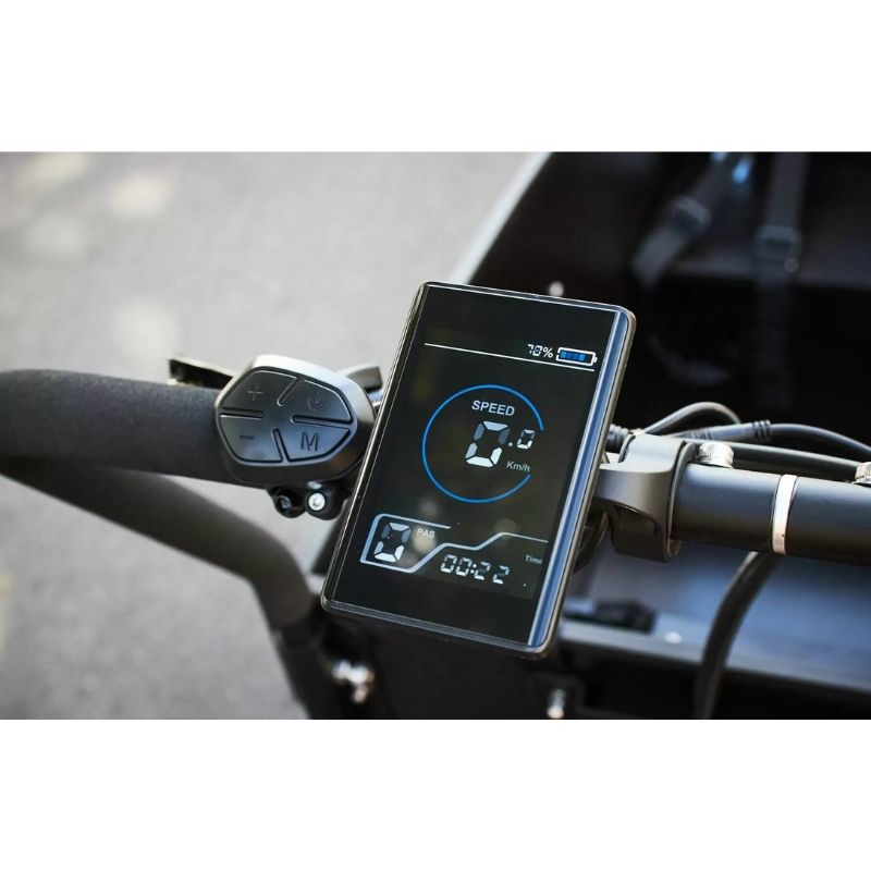AMCargoBikes Curve Dog Friendly Cargo Electric Tricycle – Black – Updated Model