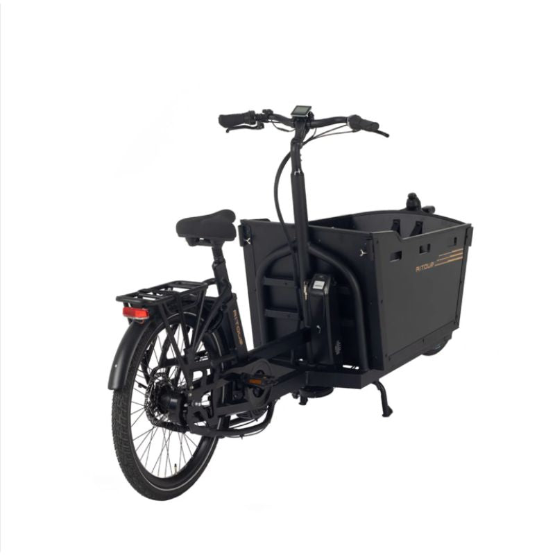 Aitour Cargo Electric Bike - Basalt 250W
