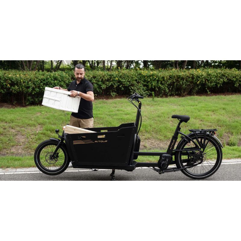 Aitour Cargo Electric Bike - Basalt 250W