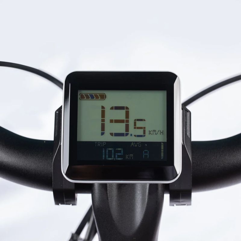 Aitour Cargo Electric Bike - Basalt 250W