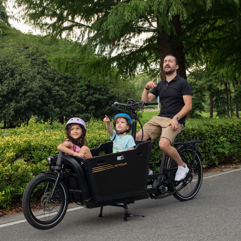 Aitour Cargo Electric Bike - Basalt 250W