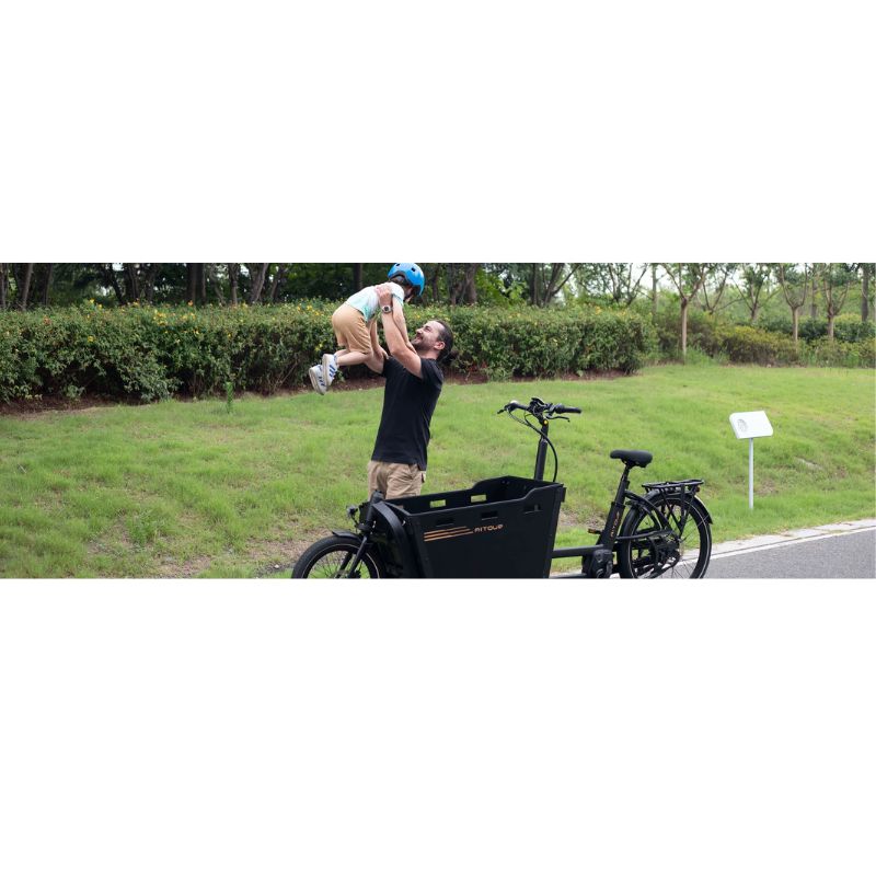 Aitour Cargo Electric Bike - Basalt 250W