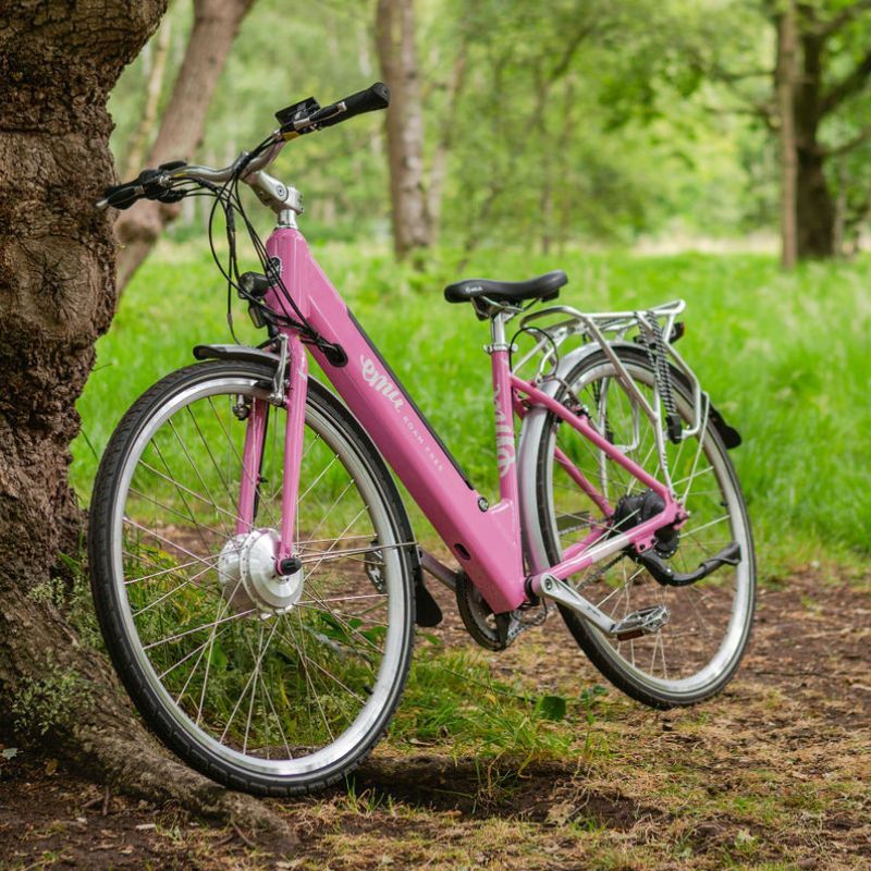 EMU Roam Step-Thru Electric Bike 250W